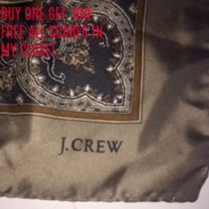 Beautiful J-Crew Scarf!